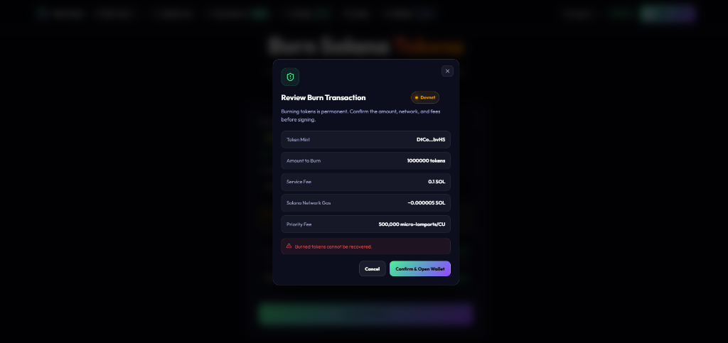 Review Burn Transaction Details